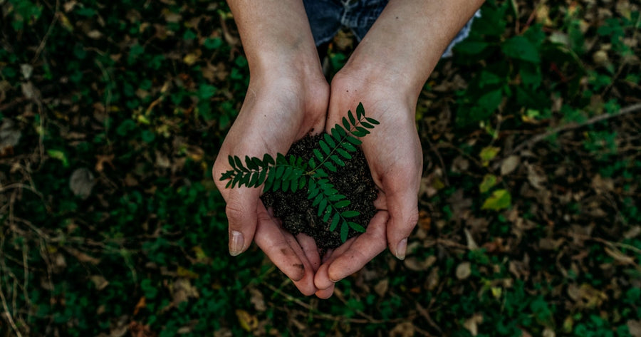 Renting and Sustainability