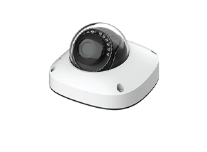 Lend'L Outdoor Mini Dome Camera