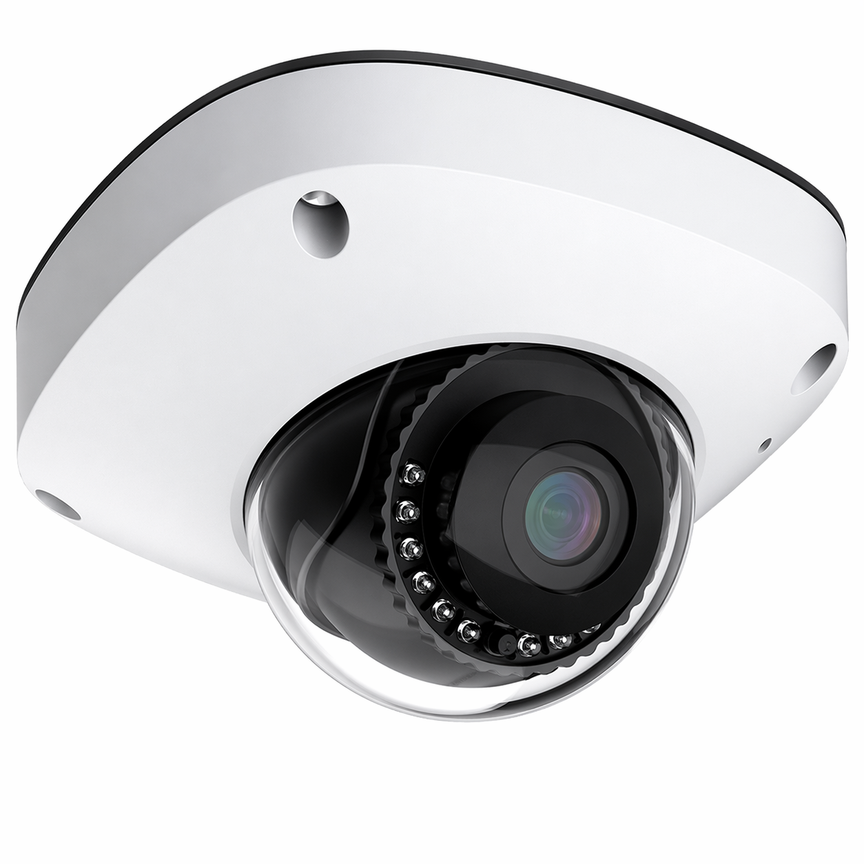 Lend'L Outdoor Mini Dome CCTV Camera